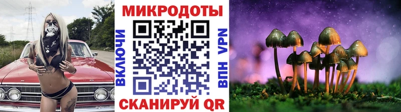 закладки  Фрязино  Псилоцибиновые грибы Magic Shrooms 